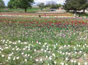 IMG%2020130512%20154335.jpg