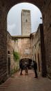 San%20Gimignano%20Tower%204.jpg