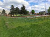IMG%2020130512%20153952.jpg