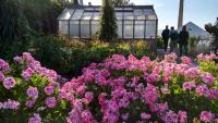 Alcatraz%20Greenhouse.jpg