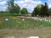 IMG%2020130512%20154030.jpg